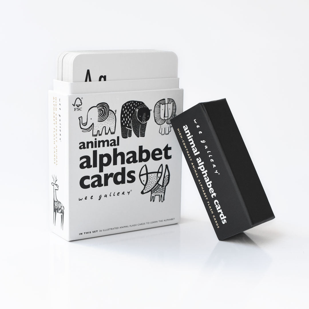 Alphabet Adventure Bundle Cards & Blocks