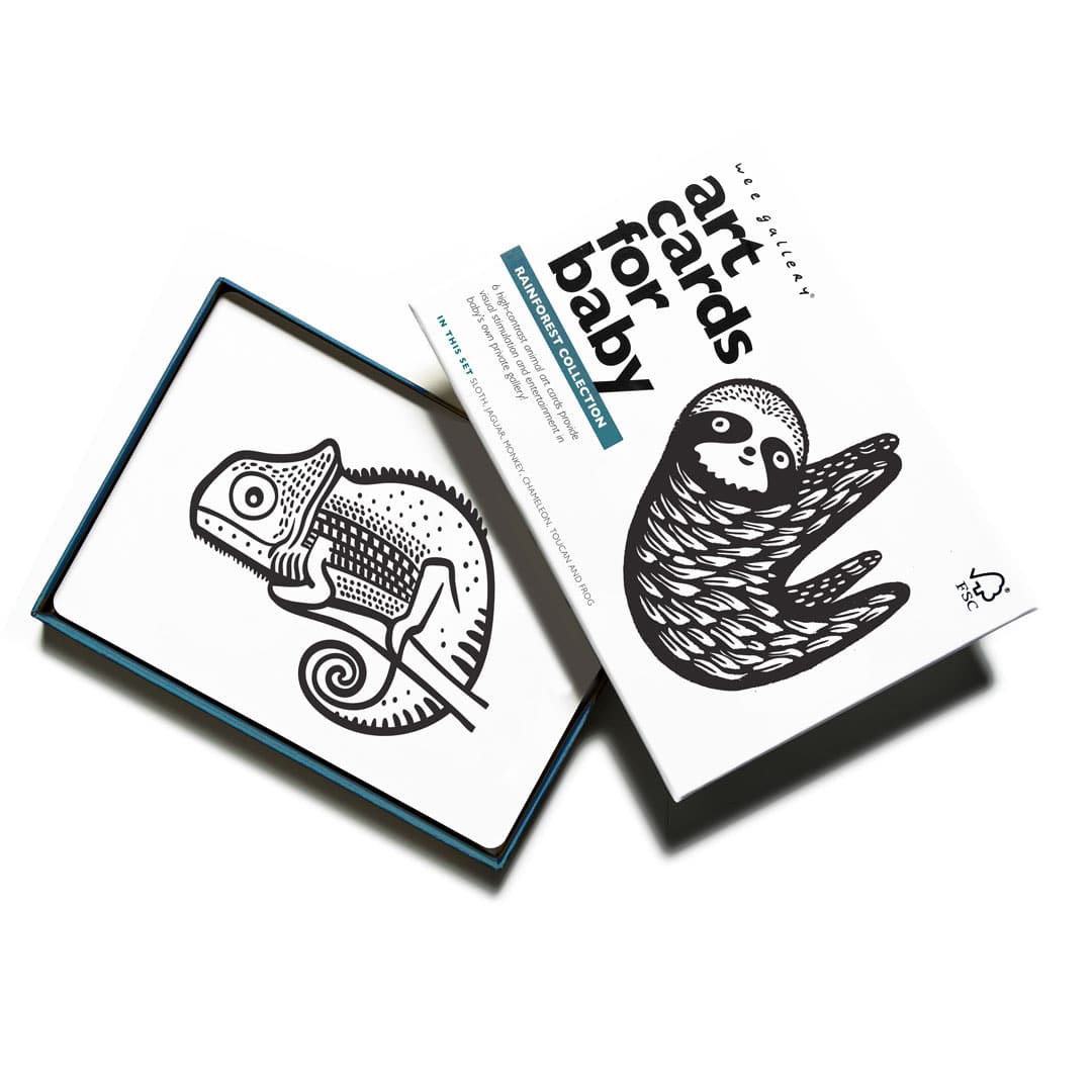Rainforest-animal-art-cards-for-baby-high-contrast.jpg