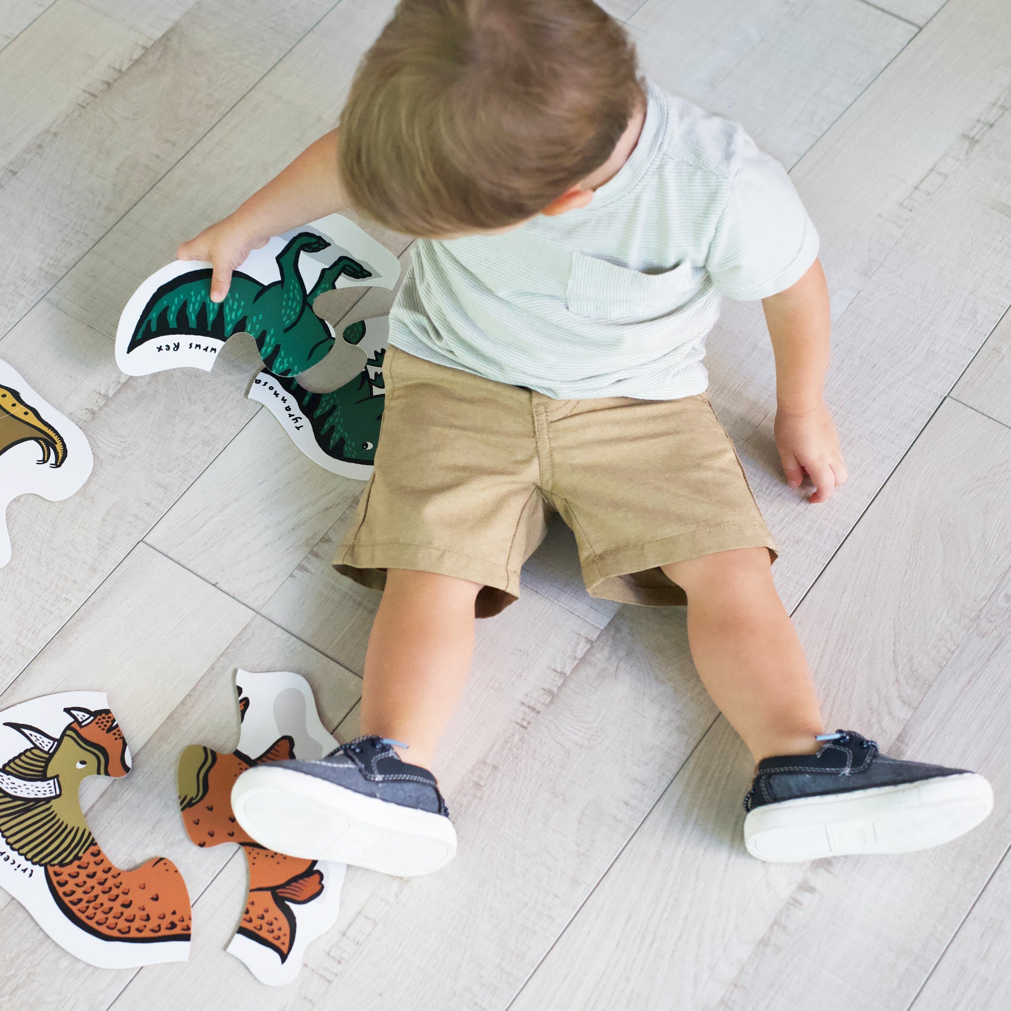 early-child-development-puzzles-for-toddler-STEM-dinosaurs-1.jpg